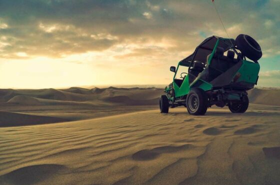 Lim-28 : Expedición de 2 Días - Tour Maravillas de la Costa (Paracas, Huacachina y Nazca)