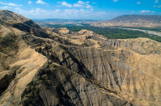Tum-03 : Parc national Cerros de Amotape - Into the Wild