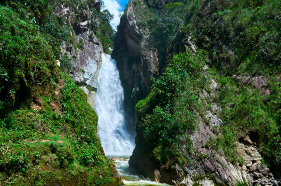 Oxa-02 : Expedición a Villa Rica - Descubrimiento de la cultura del café y la selva tropical