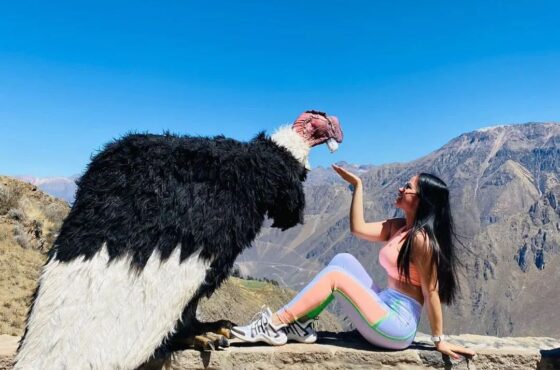 Pun-05 : Descubrimiento del Cañón del Colca - Viaje de 2 días