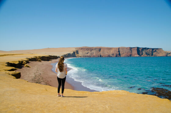 Par-02 : Islas Ballestas y Reserva de Paracas - Escapada de día completo.