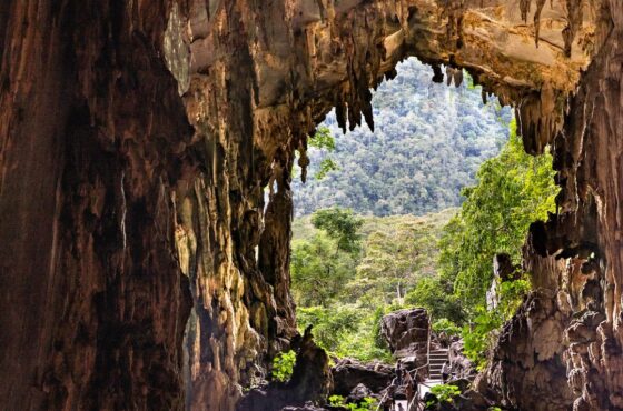 Tin-05: Aventura en la oscuridad: expedición a la Cueva Lechuza y a Santa Carmen