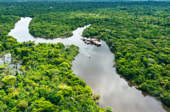 Iqu-02 : Selva de Iquitos - 2 Días de Descubrimiento del Bosque Lluvioso