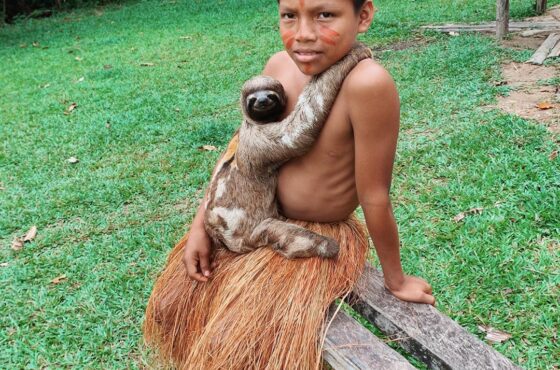 Iqu-01 : Safari por el Amazonas - Expedición a la selva de día completo