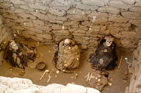 Naz-07 : Las antiguas tumbas de Chauchillas - Viaje a los enterramientos de Nazca