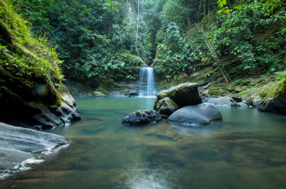 Tar-02 : Paraíso en la Selva - Catarata Carpishuyacu & Termas de San José