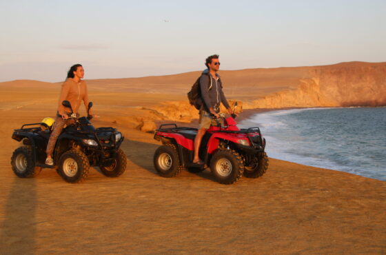 Expedición Off-Road Reserva de Paracas - Buggy o Quad Bike.