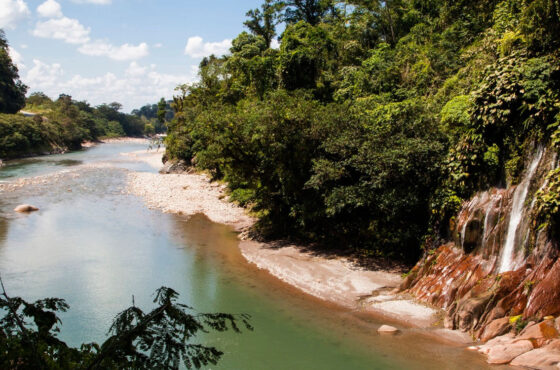 Tar-09 : Maravillas de la vida silvestre - Reserva Alto Mayo de Tarapoto