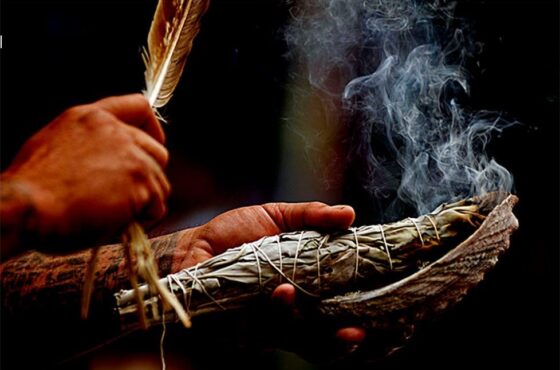Puc-09 : Experiencia Ayahuasca Extendida - 4 Días de Transformación