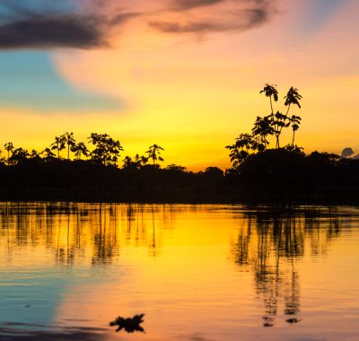 Colorful Amazonian Sunset